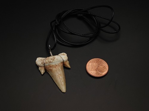 Haifischzahn kette mit - haifischzahn, band