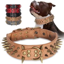 Hundehalsband Mit Spikes Und