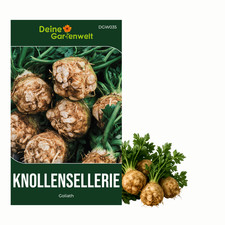 Knollensellerie Goliath Samen - Apium graveolens - Gemüsesamen