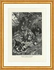 Fuchsfamilie. Gemälde von C