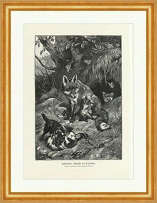 Fuchsfamilie gemälde von c - gemälde,