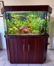 Aquarium, ca 450 Liter, Maßanfertigung mit Vollausstattung
