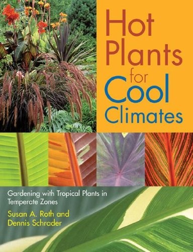 Hot plants for - cool, climates
