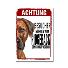Rhodesian ridgeback - rhodesian,