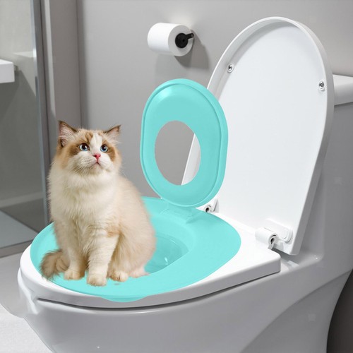 Katzentoiletten