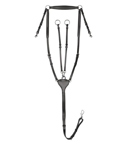 Line vorderzeug professional - x-line,