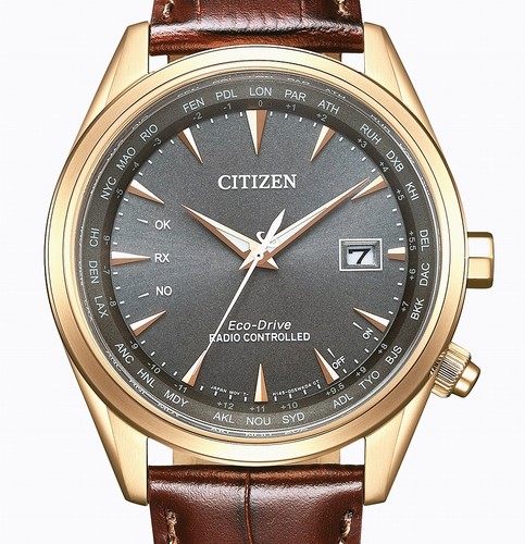 Citizen world perpetual - citizen,
