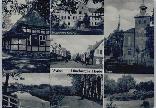 11005859 3030 walsrode - 3030,