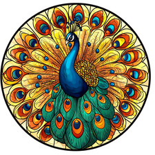 XXL 30X30 car sticker bird