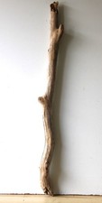 Treibholz Schwemmholz