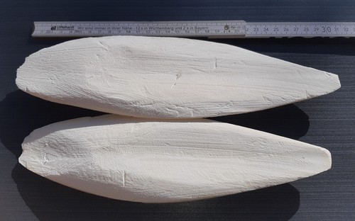 Sepiaschalen xxl 25 - xxl,, ca.
