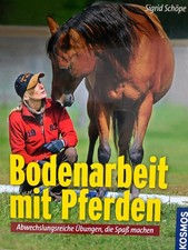 Bodenarbeit mit Pferden