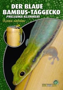 Der blaue bambus - blaue, bambus-taggecko