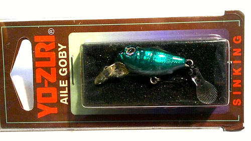 Zuri aile goby - zuri,