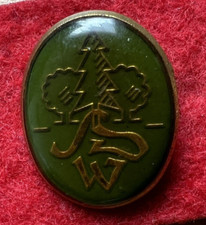 Abzeichen -  Anstecknadel -  Pin - UNBEKANNT ?????????