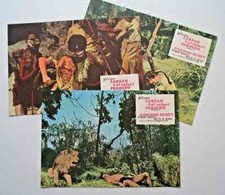 3x Aushangfotos TARZAN UND DIE