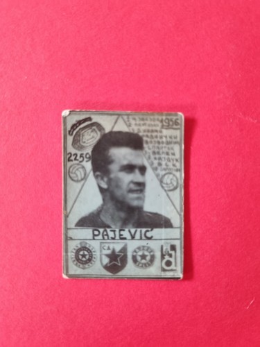 Bozidar pajevic - bozidar, (fc