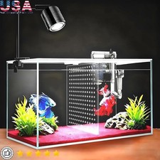 3 Gallon Betta Fish Tank