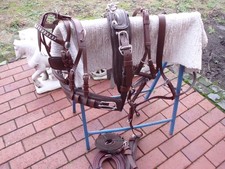 1-spänner Brustblattgeschirr