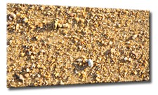 Leinwand Bild Abstrakt Sand Strand Gelb Natur Warm XXL