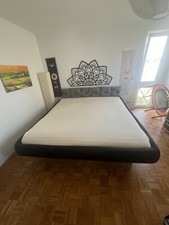 Tasso Masterpiece 220 x 240 cm Amarell schwarz Wasserbett mit Spiegelsockel