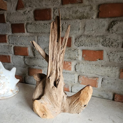 Teak wurzelholz skulptur - skulptur, natur