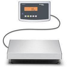 Minebea Intec (Sartorius)