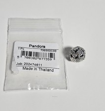 Pandora Seestern, Muschel Und