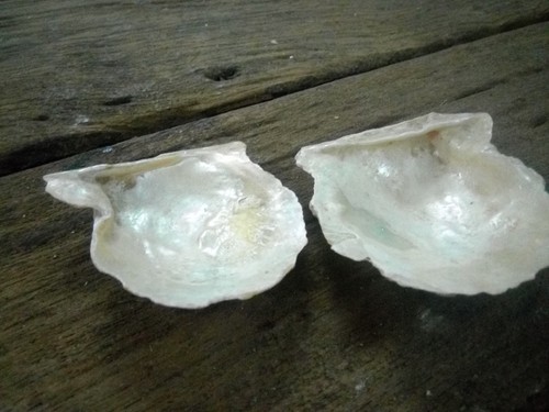Antik alt selten kleine - antik, 2