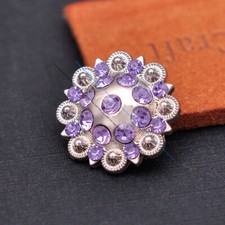 10 Stück Berry Crystal Pferde