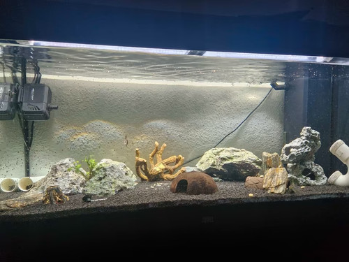 Aquarium 160l inkl - 160l,