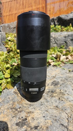 Canon 300mm 5 - ef, f/4-5,6