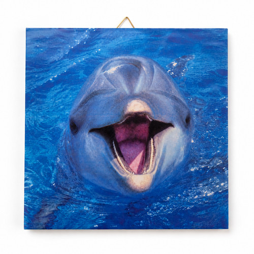 Motivfliese keramik 15 cm - 15, x