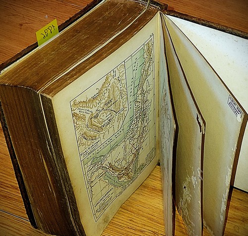 Luther bibel anno 1896 - luther,
