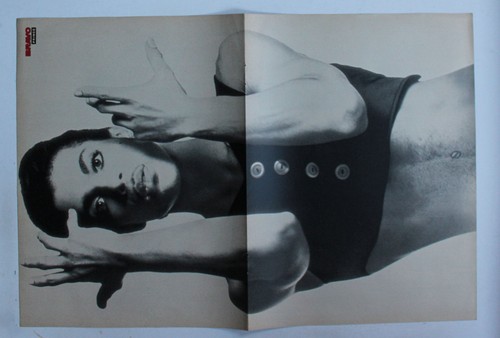 Prince bravo poster - prince,