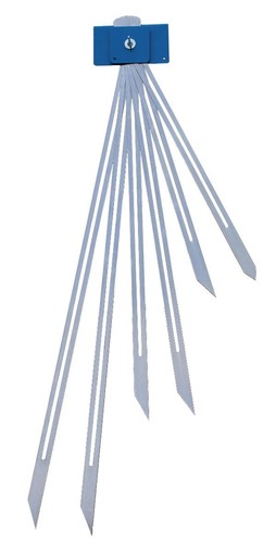 Treppenspinne mit 6 - mit,