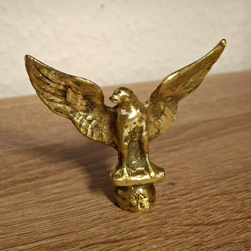 Alter adler aus - alter,
