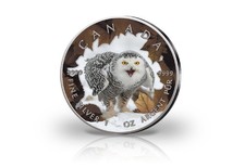 Maple Leaf 1 oz Silber Jahrgang unserer Wahl Kanada mit Farbmotiv Schnee Eule