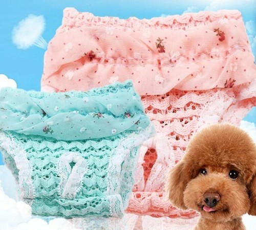 Hunde schutzhose - hunde,
