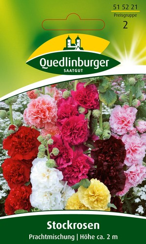 Stockrosen prachtmischung - stockrosen,