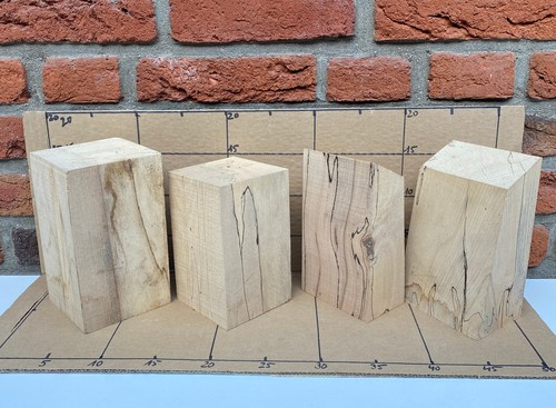 Buchenholz gestockt trocken