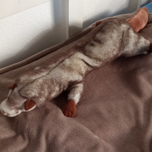 Stofftier frettchen marder - stofftier,