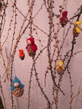 10  Lärchen Lärchen-Zapfen Wichtel Zwerg Waldorf Jahreszeitentisch farbig 