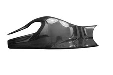 Carbon Schwingenverkleidung