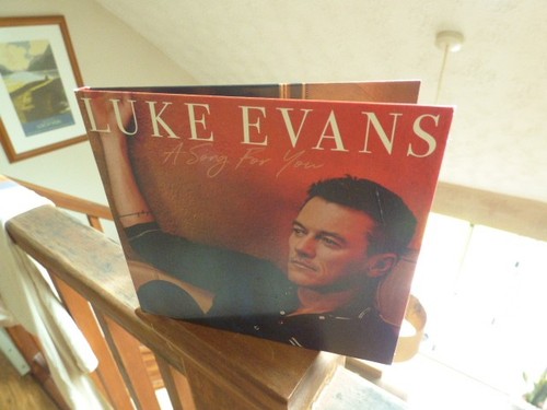 Luke evans song for you - song,