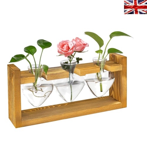 Elegante glas hydrokultur vase - elegante,