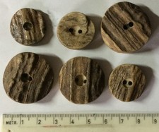 Sechs Knöpfe aus Horn für