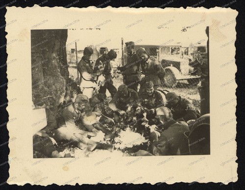 Foto-Polen-45