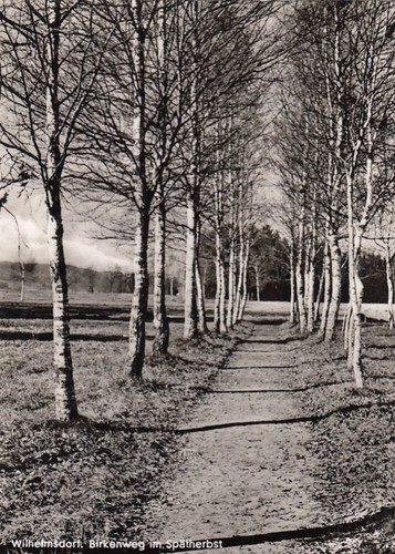 Wilhelmsdorf birkenweg im - birkenweg,