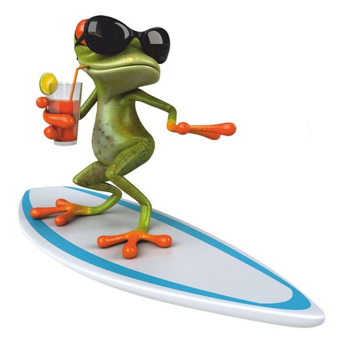 Sticker surfer frosch - frosch, i